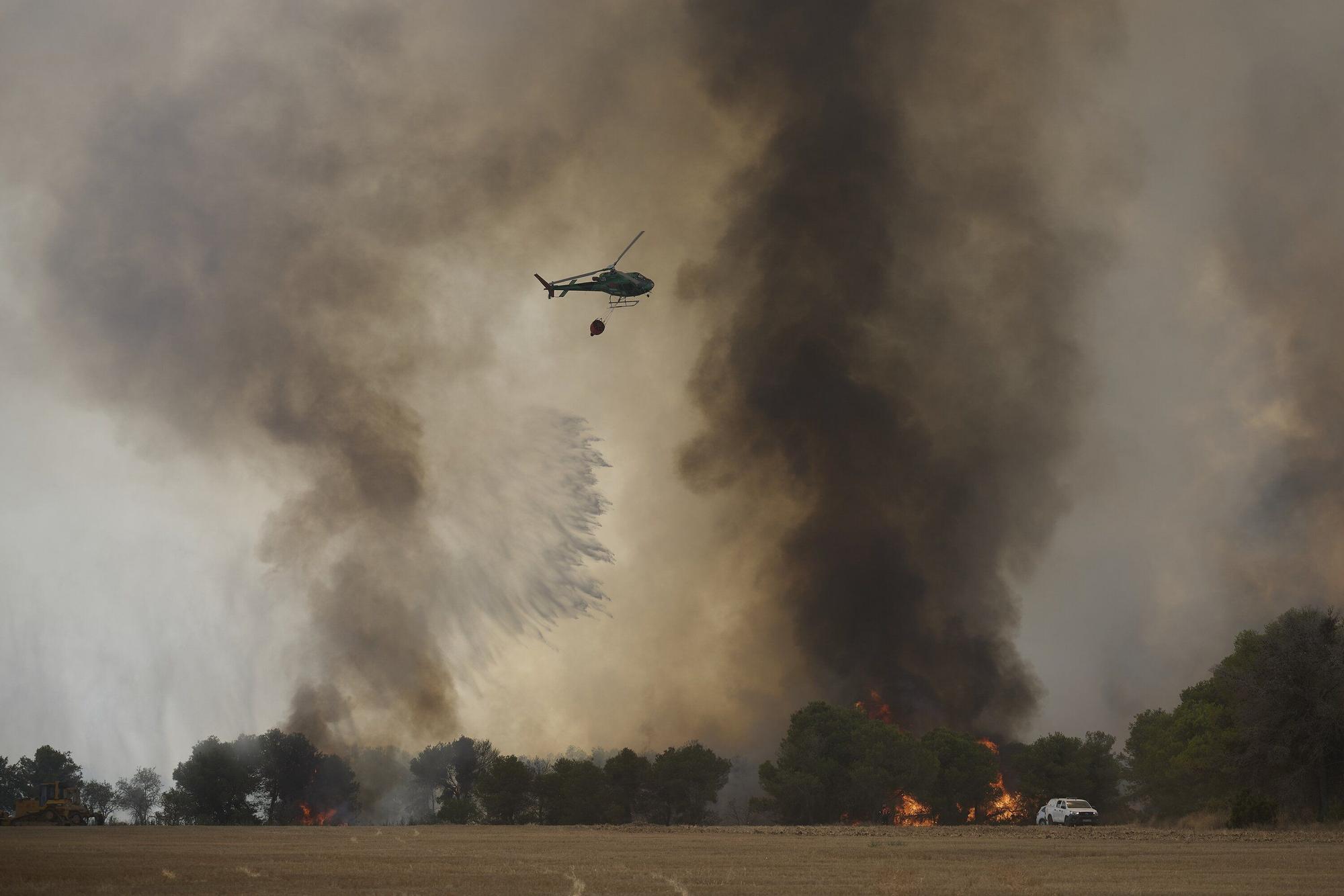 Fotos del incendio forestal cerca de Carcastillo