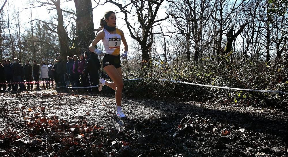 Atletas durante el 36 Campeonato Navarro de Cross Largo.