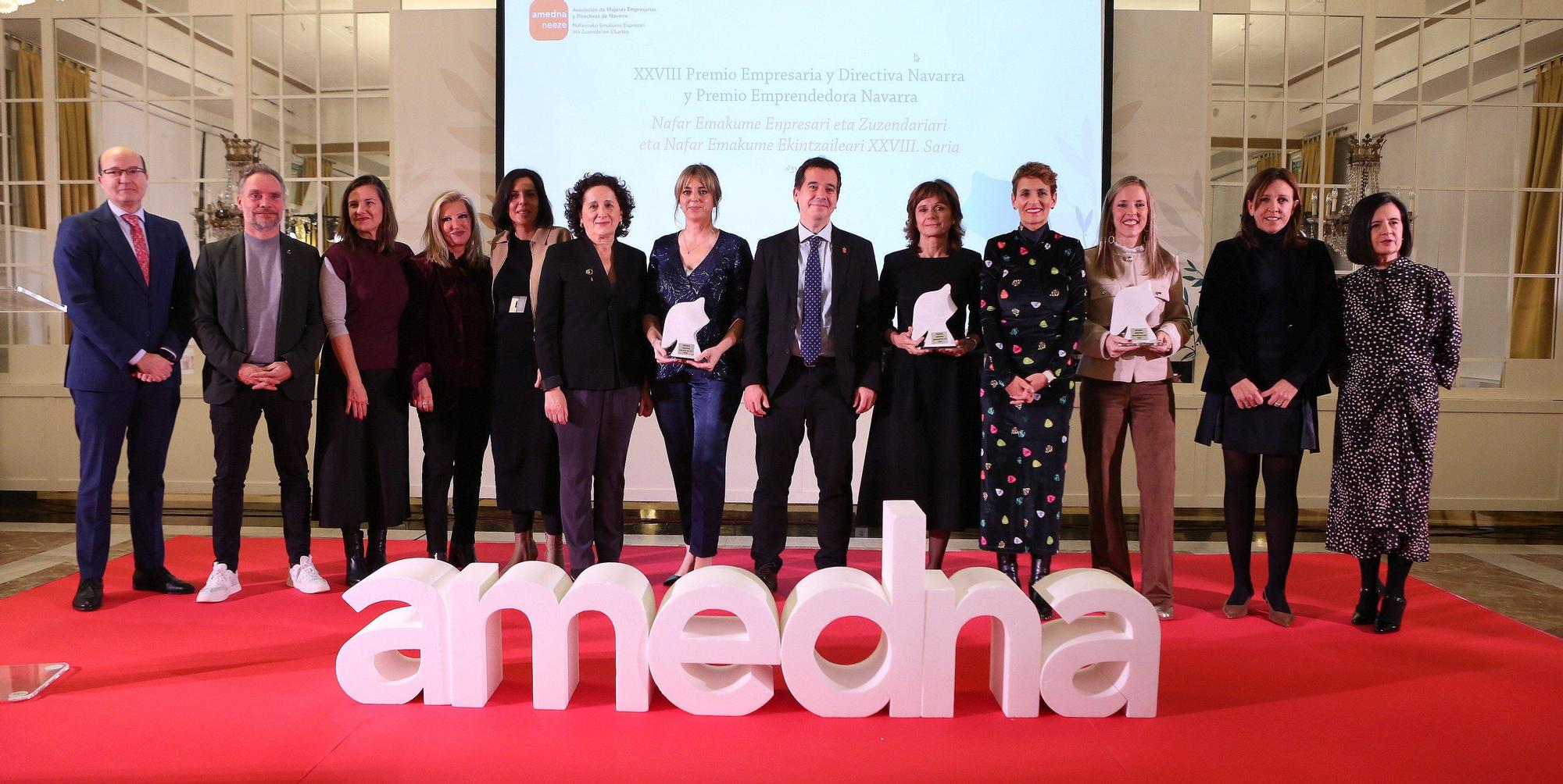 Fotos de la entrega de los Premios AMEDNA