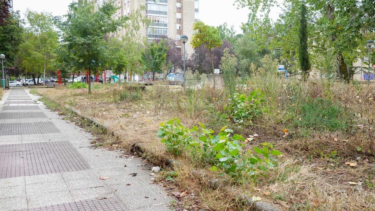 Estado actual de algunas zonas de la capital alavesa.