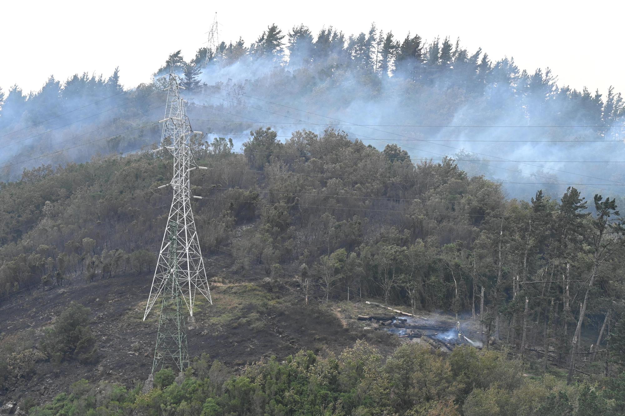 Incendio forestal en Güeñes