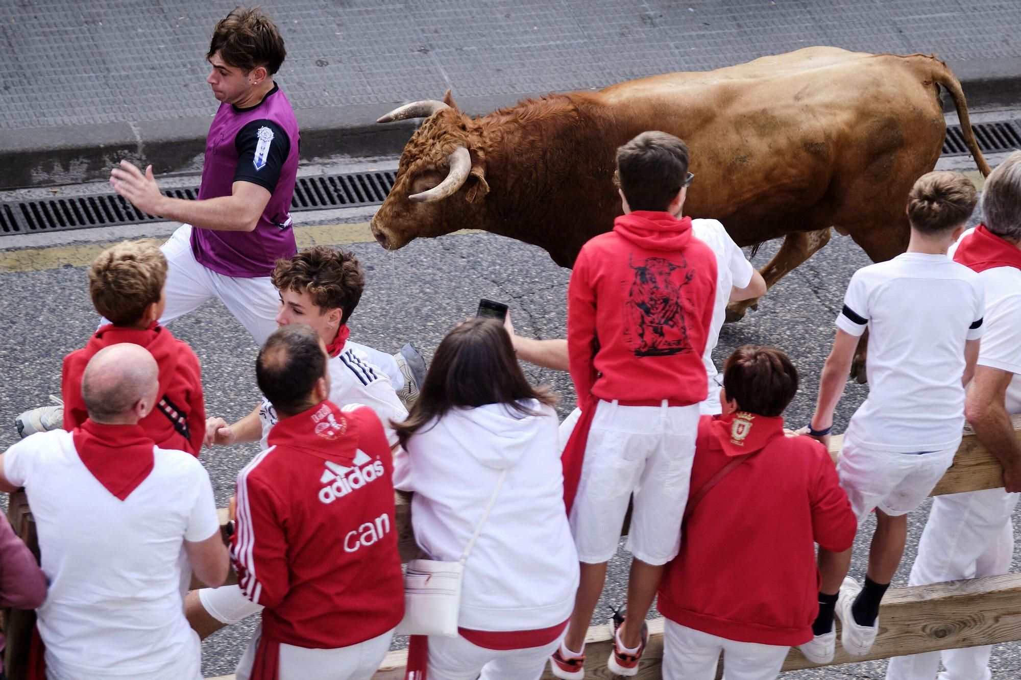 Tercer encierro de Estella