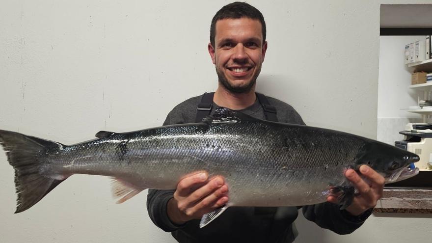 Vendido por 9.400 euros el primer salmón de la temporada en Asturias tras una reñida subasta