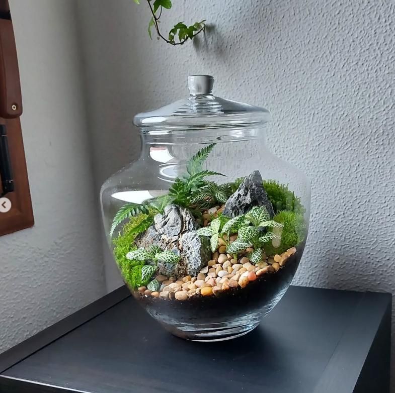 En imágenes: Así son los pequeños universos botánicos que triunfan en Bizkaia