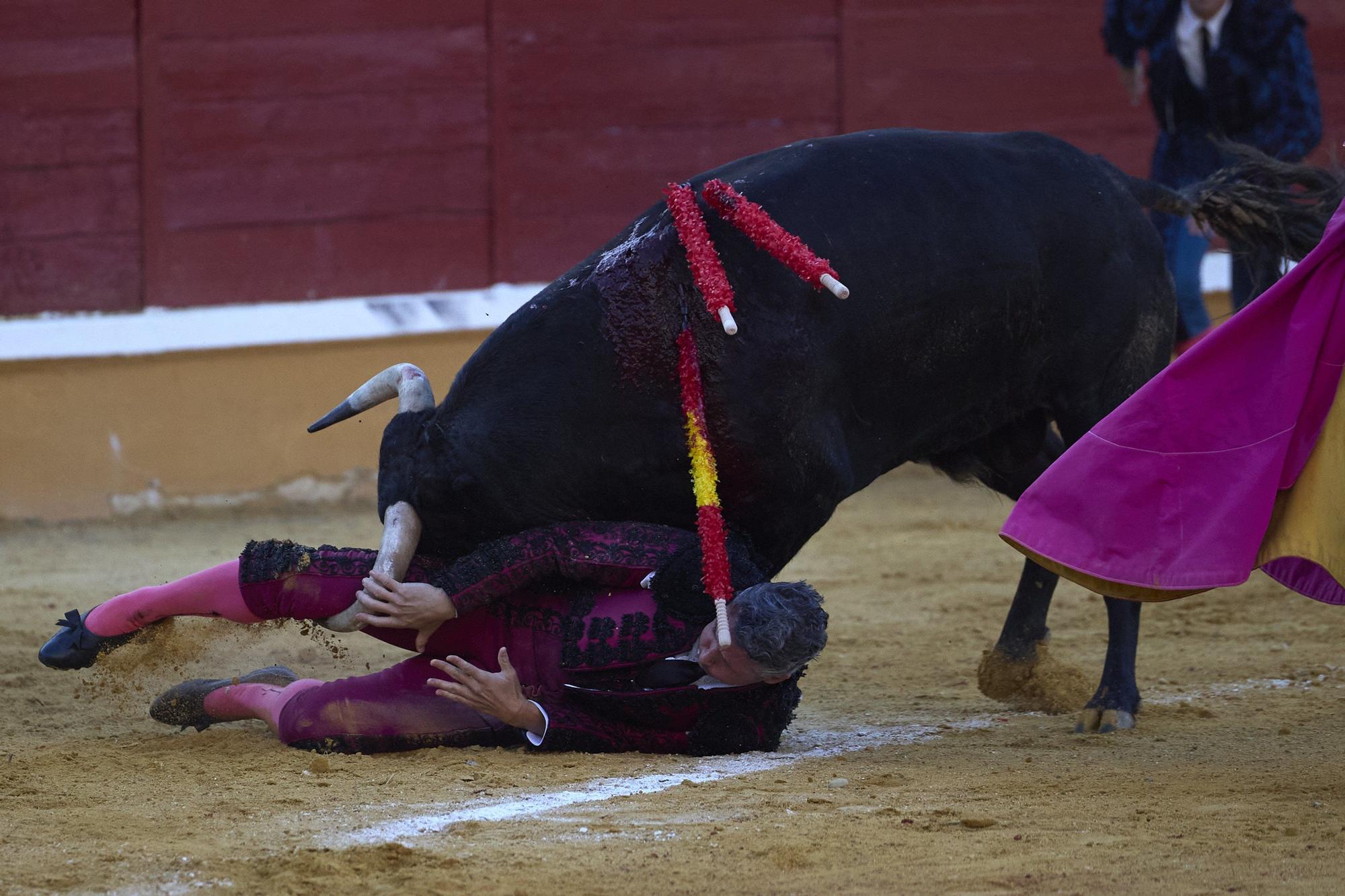 Fotos de la corrida de toros en Tudela con toros de Garzón Valdenebro