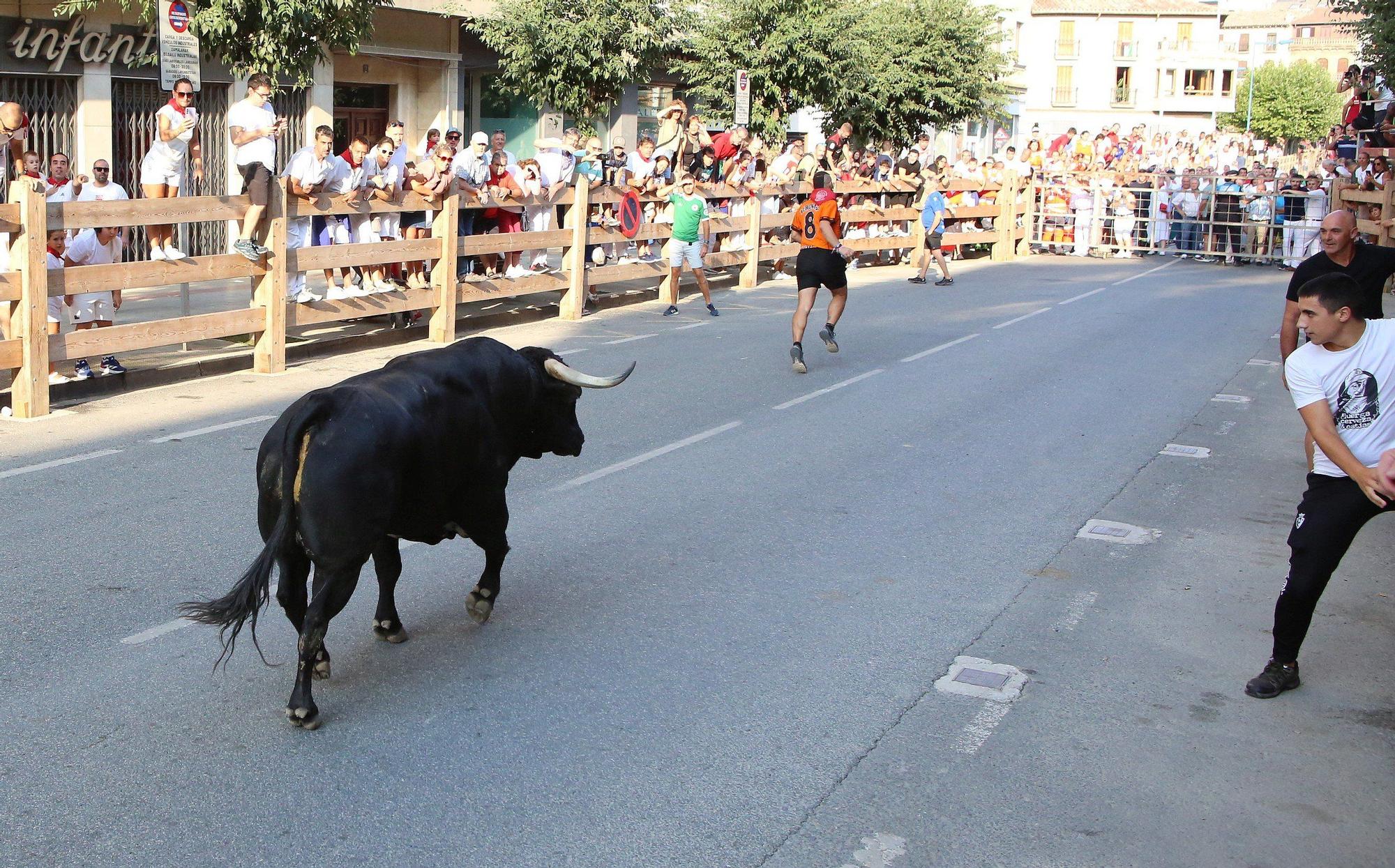 Fotos del primer encierro de fiestas de Tafalla