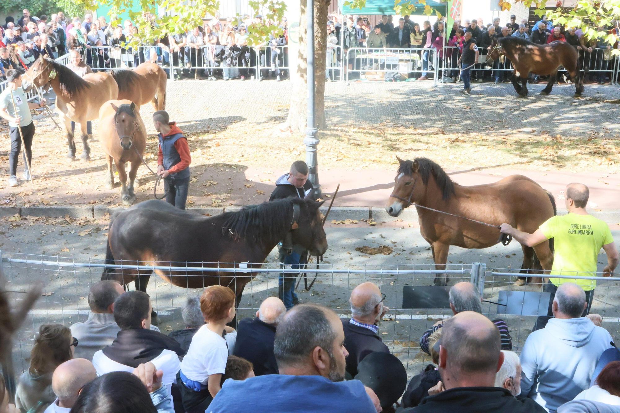 En imágenes: Miles de personas disfrutan de la 630 edición de la feria de Agurain