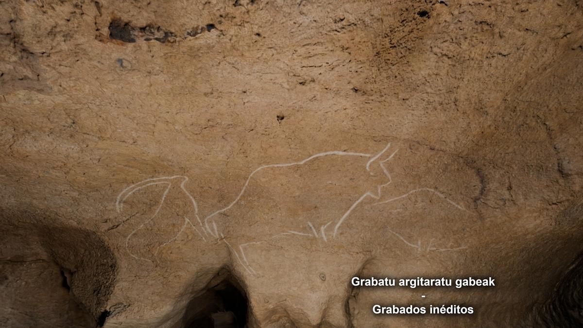 Descubrimiento de nuevas pinturas rupestres en la cueva de Armintxe de Lekeitio