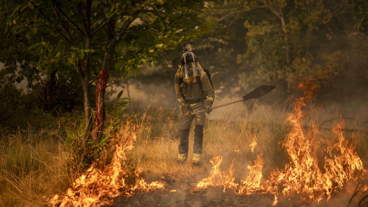 Incendios en Ourense: labores de extinción en un nuevo fuego declarado en A Gudiña