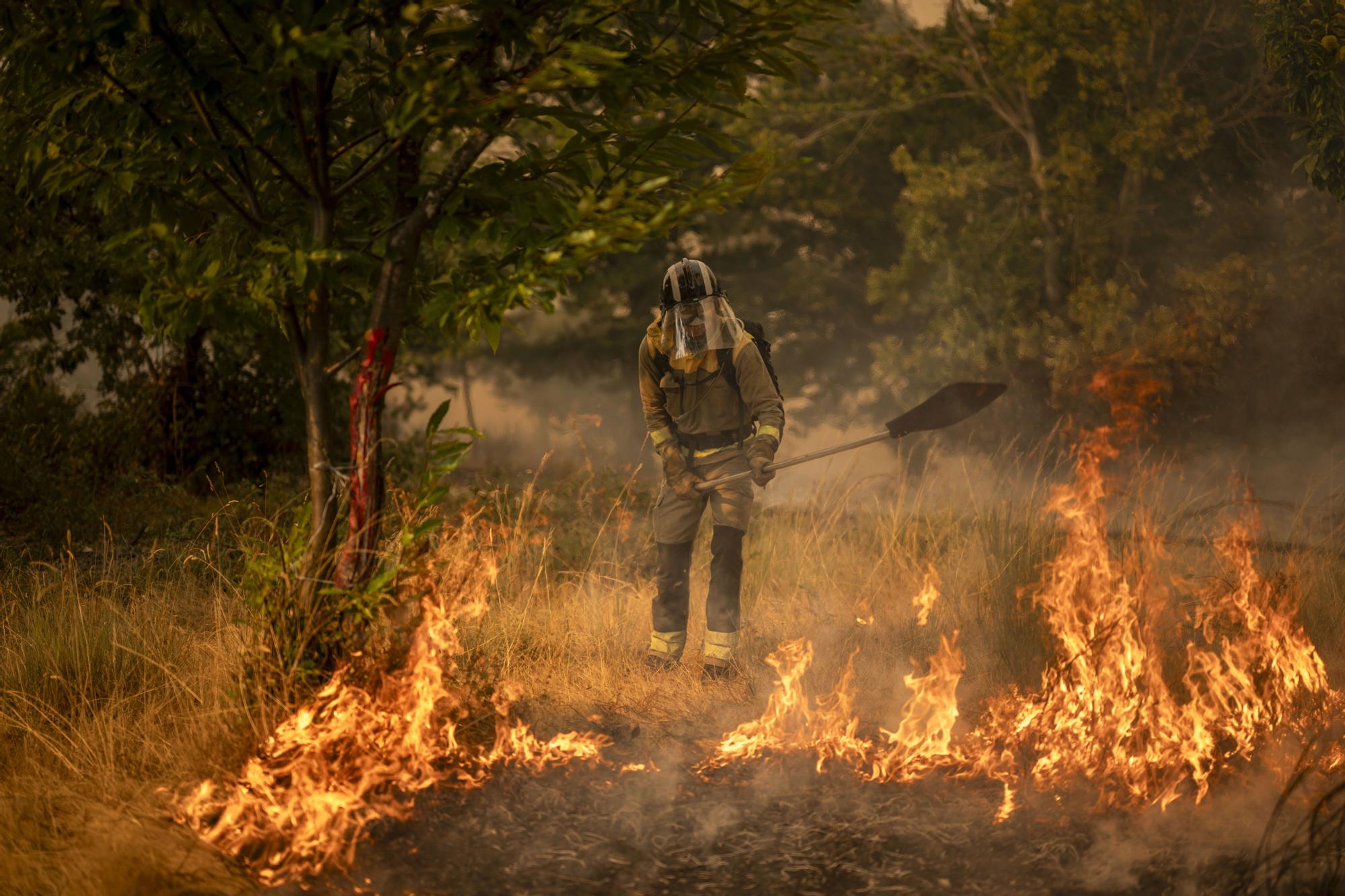 Incendios en Ourense: labores de extinción en un nuevo fuego declarado en A Gudiña