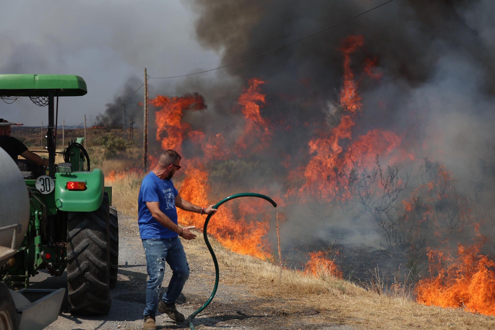Semana negra de incendios: Cuatro muertos y 120.000 hectáreas quemadas