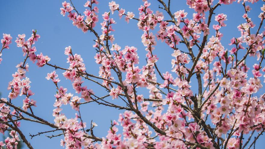 El rincón de Bilbao "que parece Japón", según un creador de contenido
