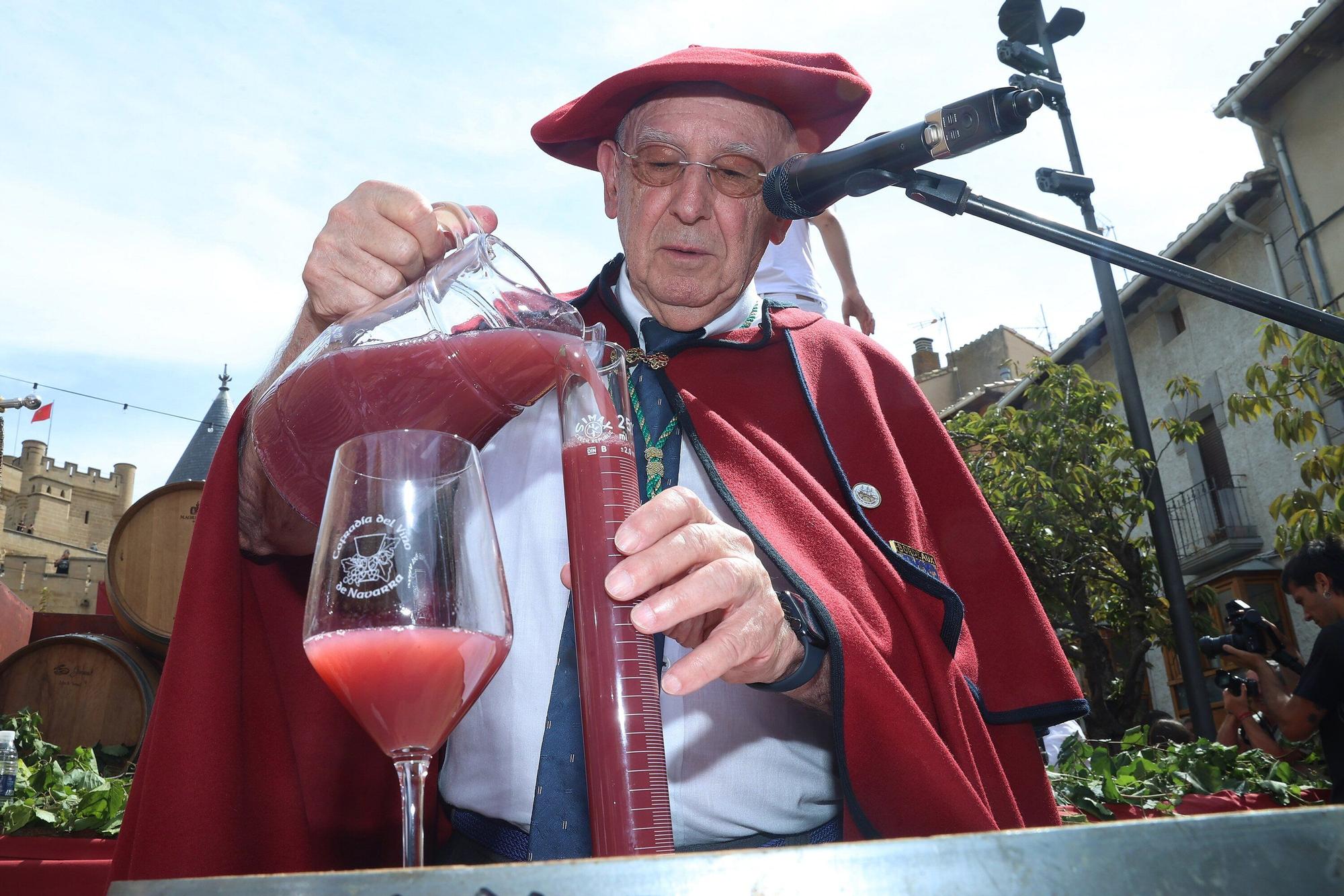Fotos de la Fiesta de la Vendimia 2025 en Olite