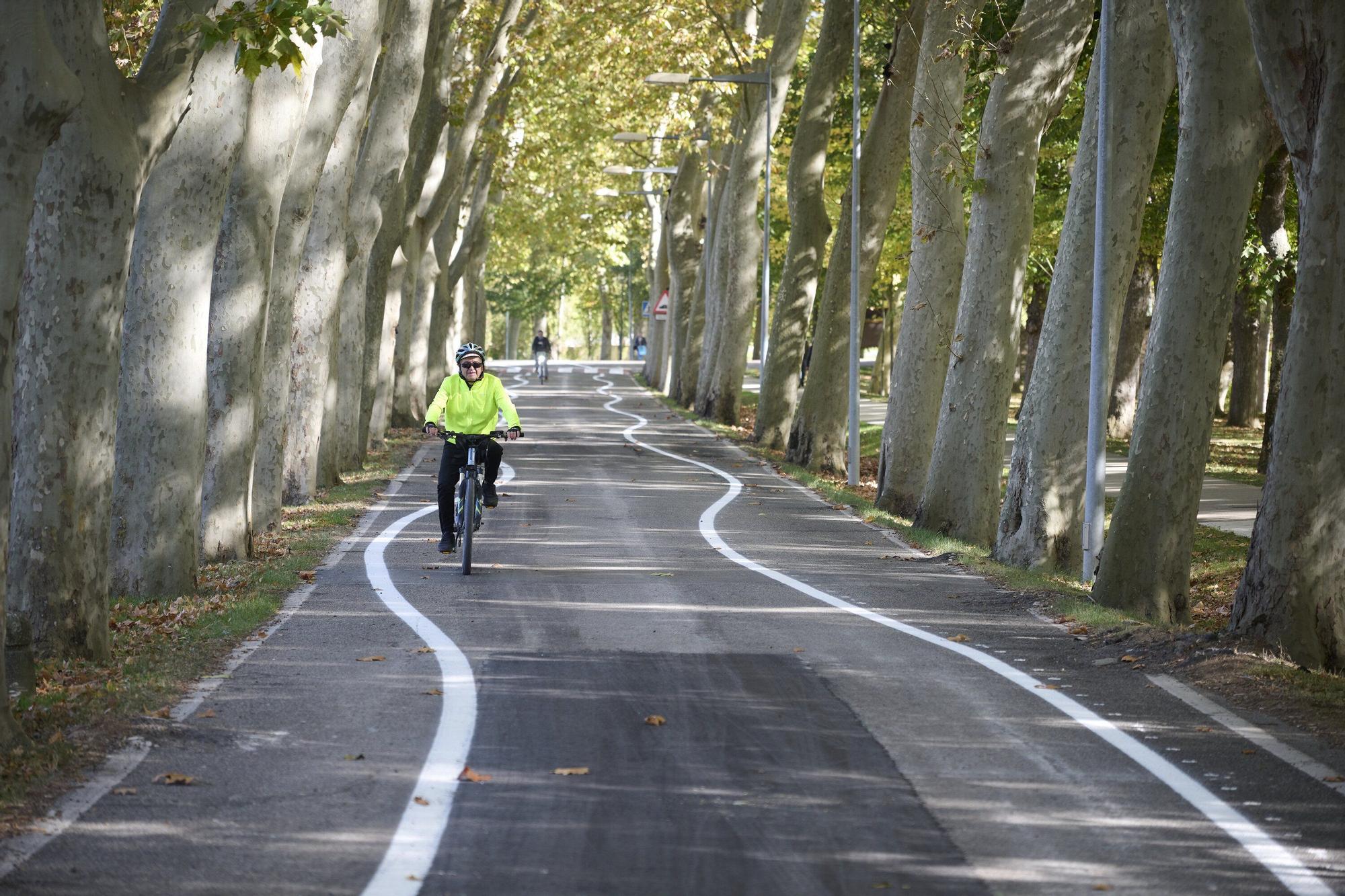 Fotos de las líneas serpenteantes de la carretera de la Universidad de Navarra