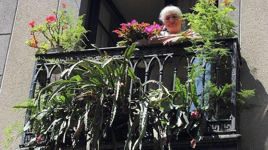 El concurso de embellecimiento de balcones y ventanas de Bilbao ya está en marcha