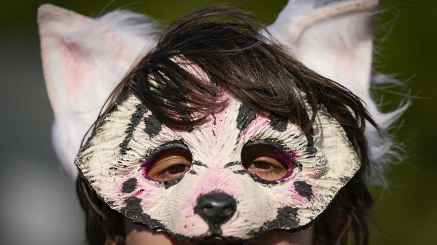 El fenómeno viral de los ‘therians’, ¿preocupación real o cortina de humo?