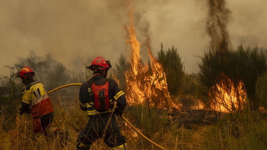 Los medios humanos de extinción de incendios de Euskadi vuelven a casa tras finalizar su labor en Castilla y León