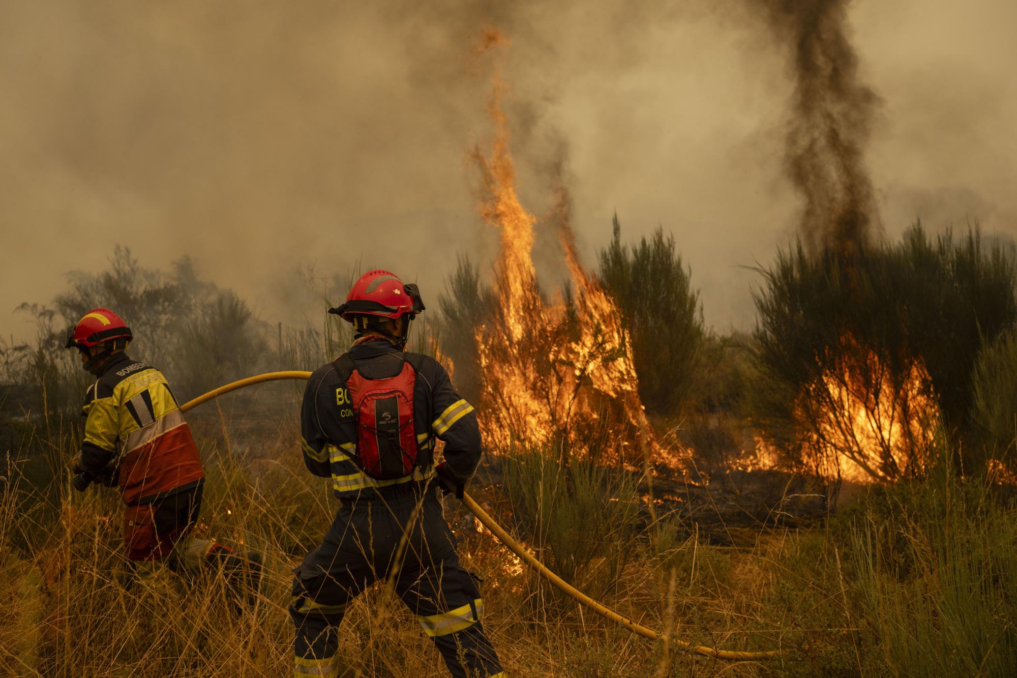 Semana negra de incendios: Cuatro muertos y 120.000 hectáreas quemadas