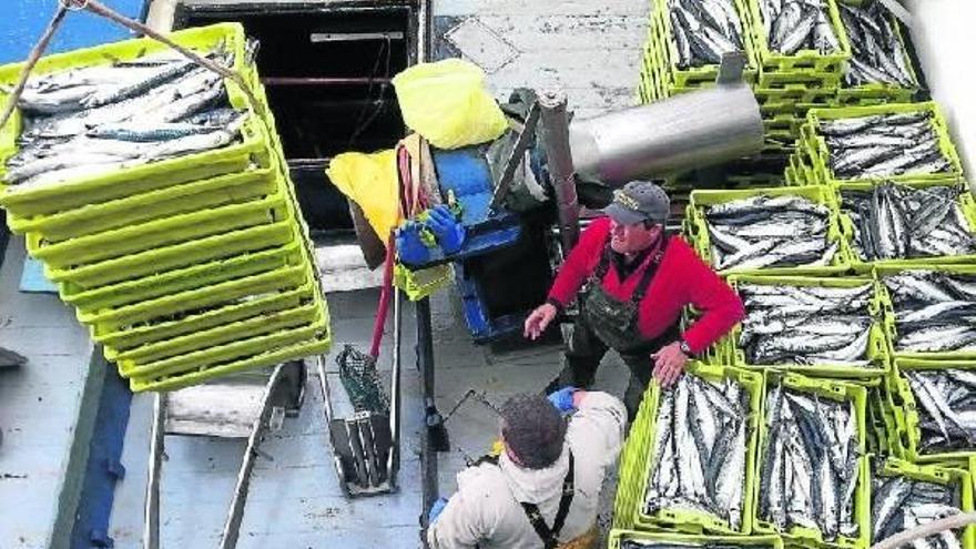 Multa al  Estado por sobrepesca de verdel