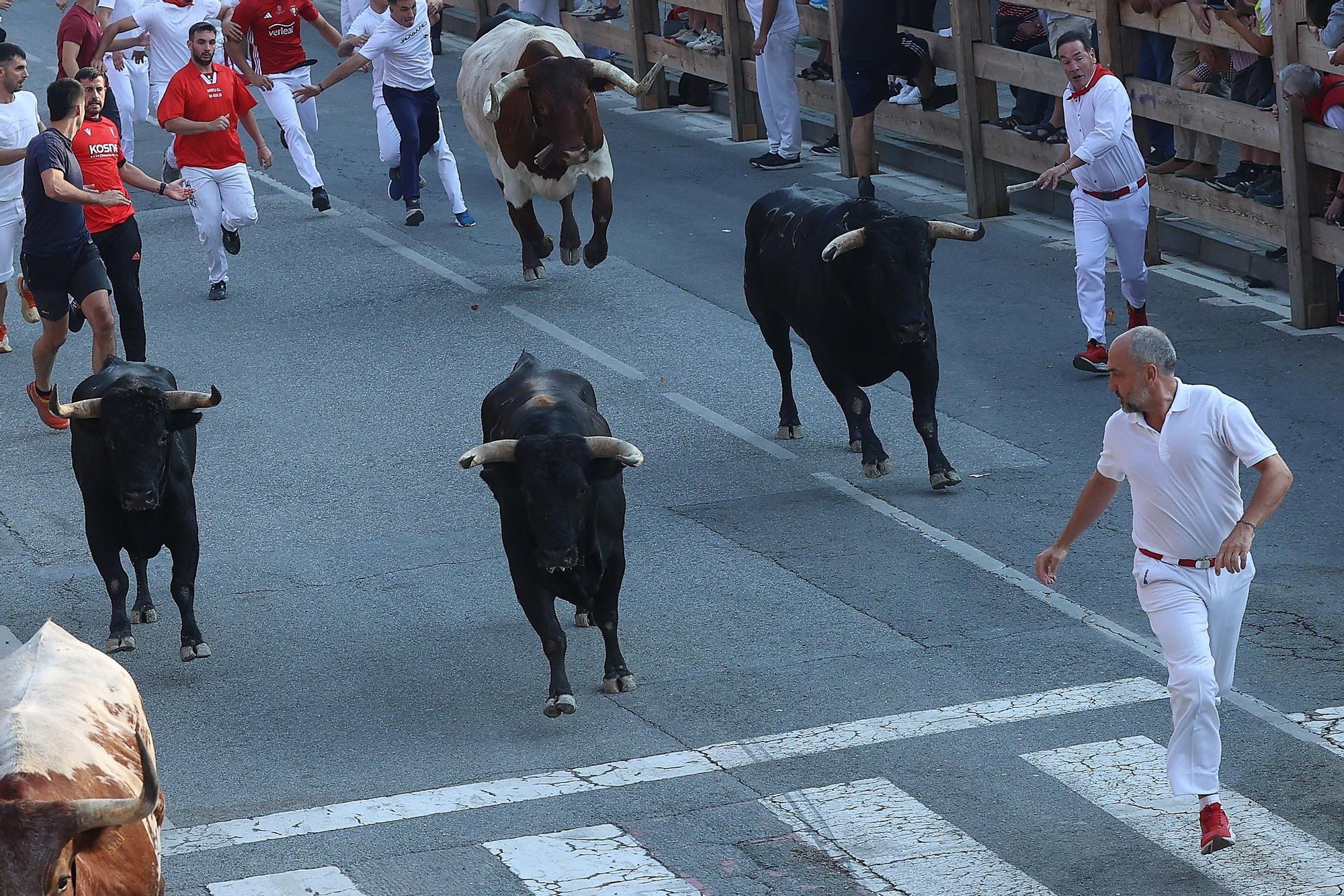Fotos del segundo encierro de fiestas de Tafalla 2025