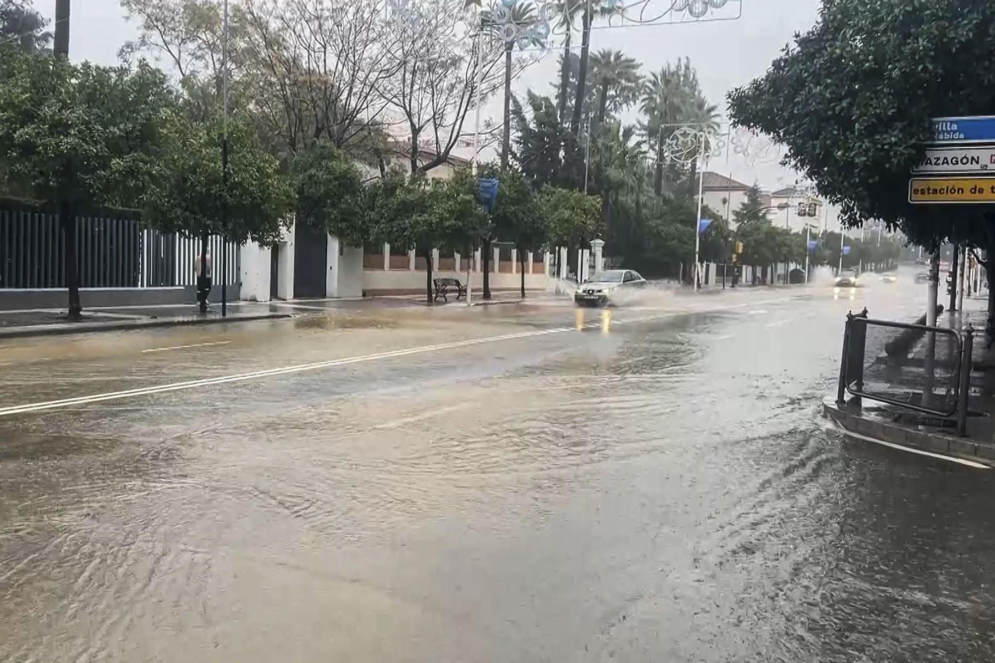 En imágenes: Andalucía supera las 900 incidencias por la borrasca 'Claudia', con la anegación de la estación de autobuses de Huelva