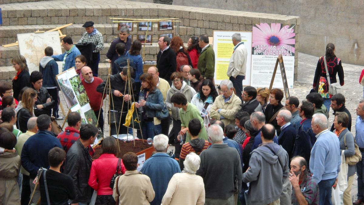 Una de las actividades de la feria