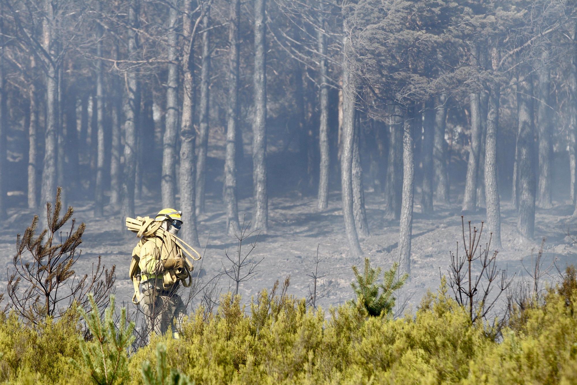 Semana negra de incendios: Cuatro muertos y 120.000 hectáreas quemadas
