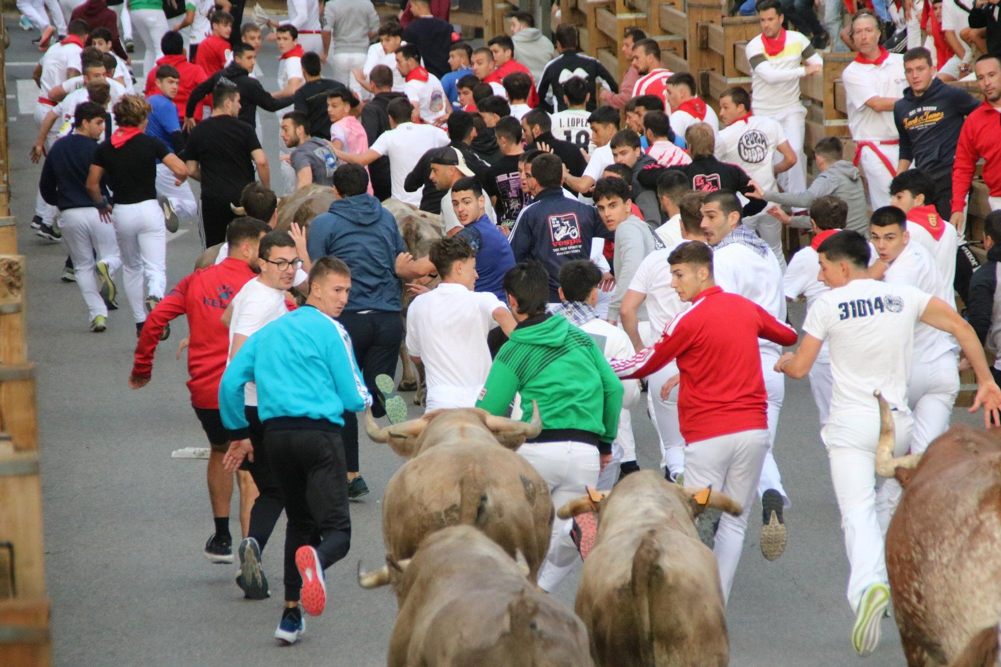 Fotos del sexto y último encierro de las fiestas de Tudela 2025