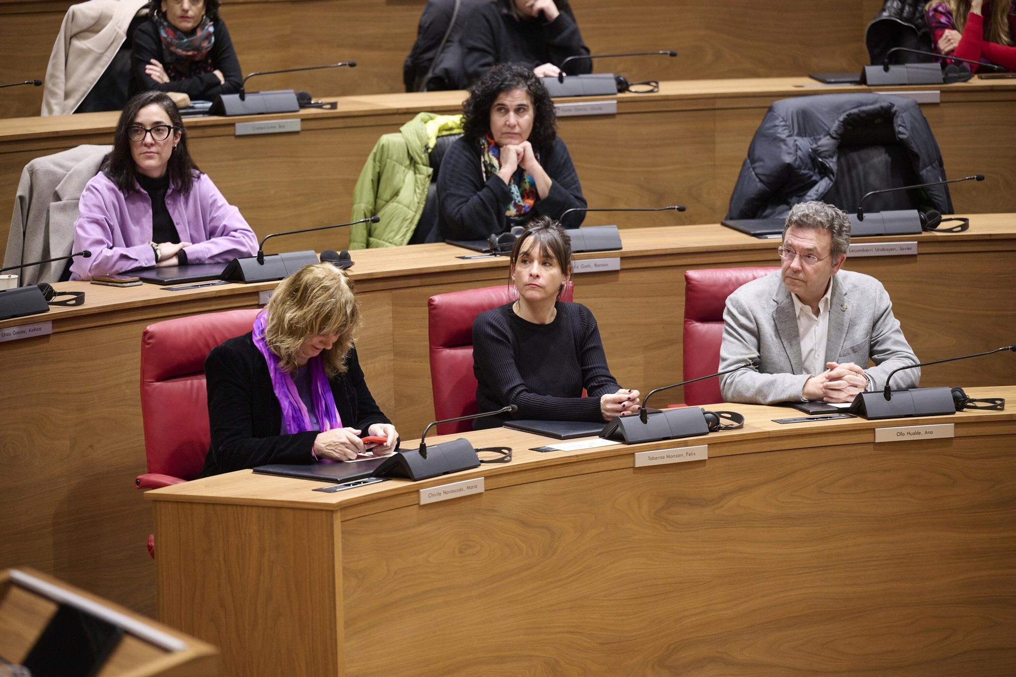 Conmemoración en el Parlamento de Navarra del Día Internacional de los Derechos Humanos