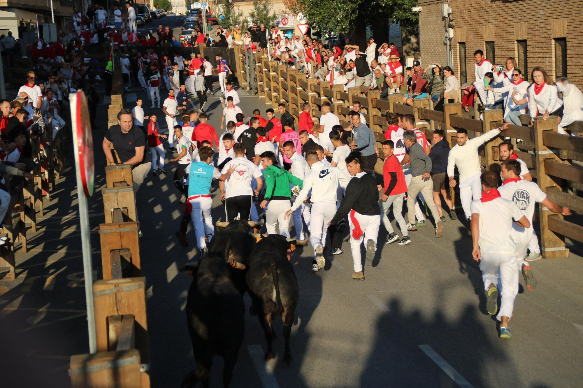 Fotos del quinto encierro de las fiestas de Tudela 2025