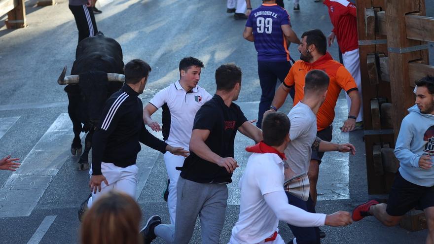 El tercer encierro en Tudela, peligroso y con buenas carreras