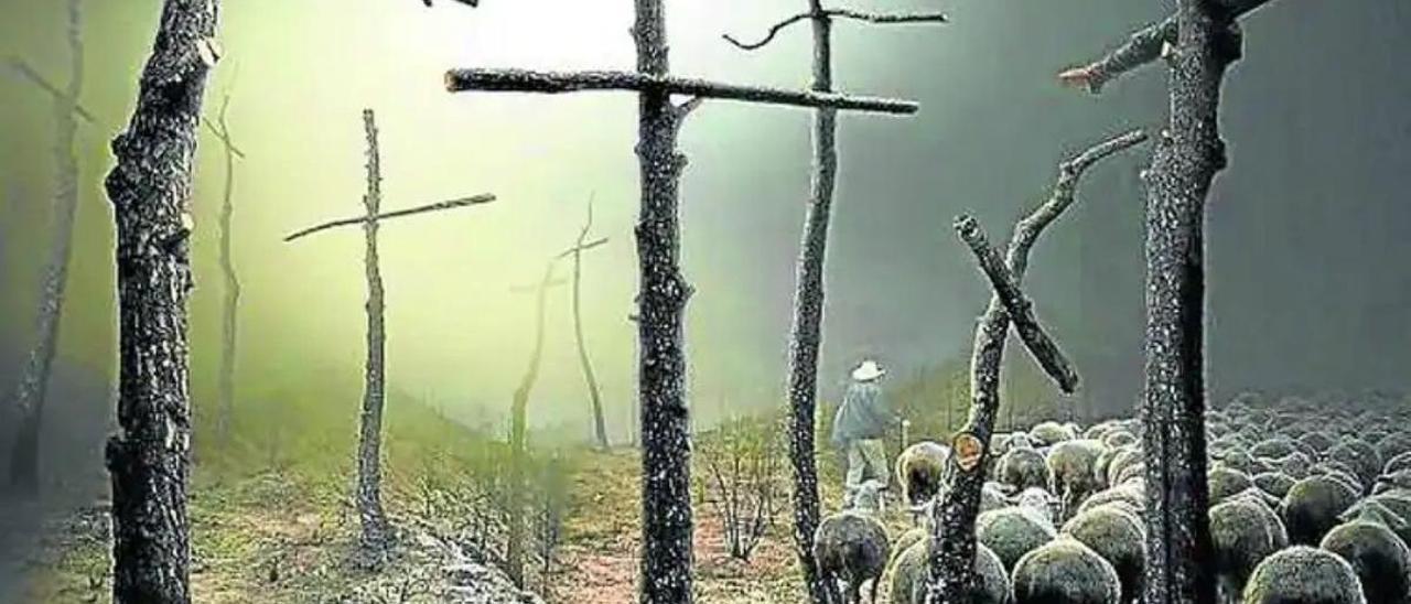 El XXXVIII Certamen de Fotografía Indalecio Ojanguren repartirá cerca de 4.000 euros en premios