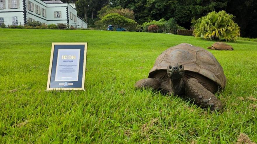 194 años de vida: la historia de la tortuga Jonathan, el animal terrestre más longevo del mundo