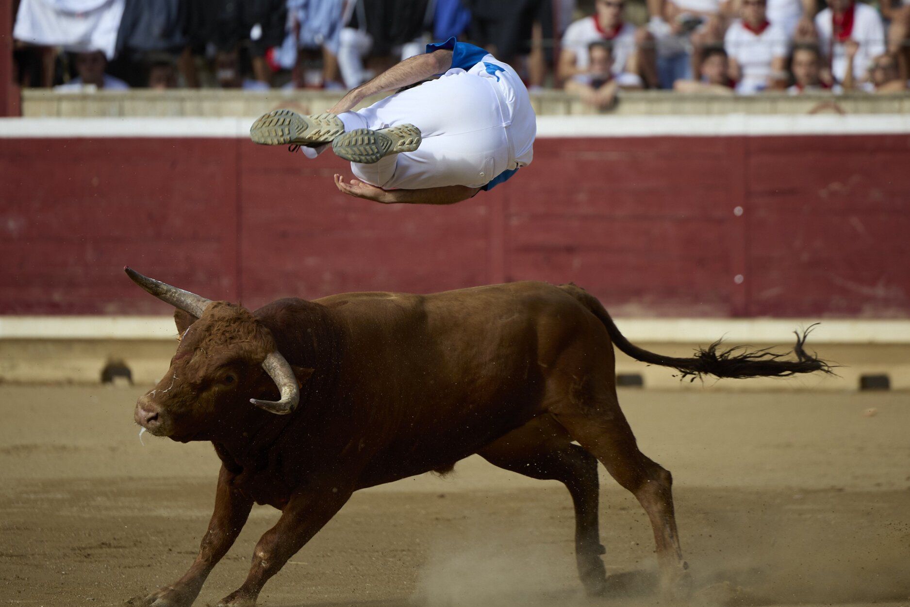 Fotos del concurso de recortadores de fiestas de Tafalla