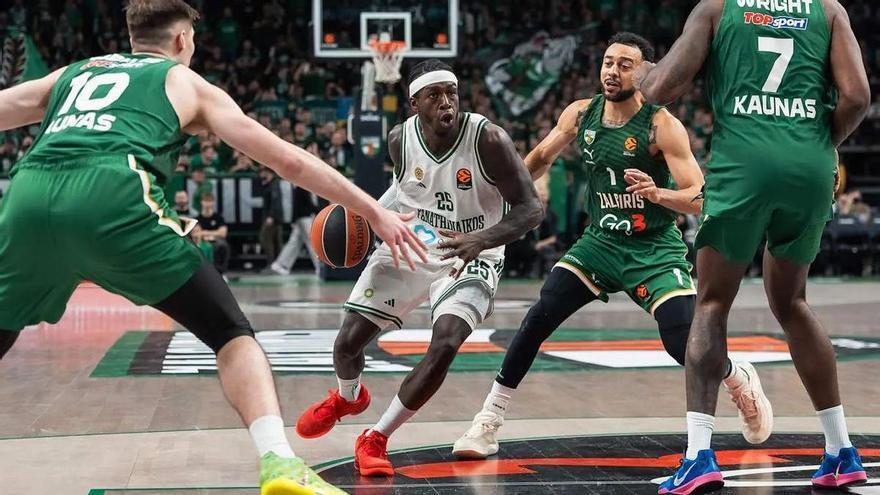 El Panathinaikos, en cuadro antes de recibir al Baskonia