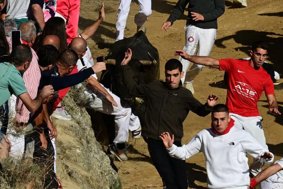 Fotos del penúltimo encierro del Pilón de Falces 2025