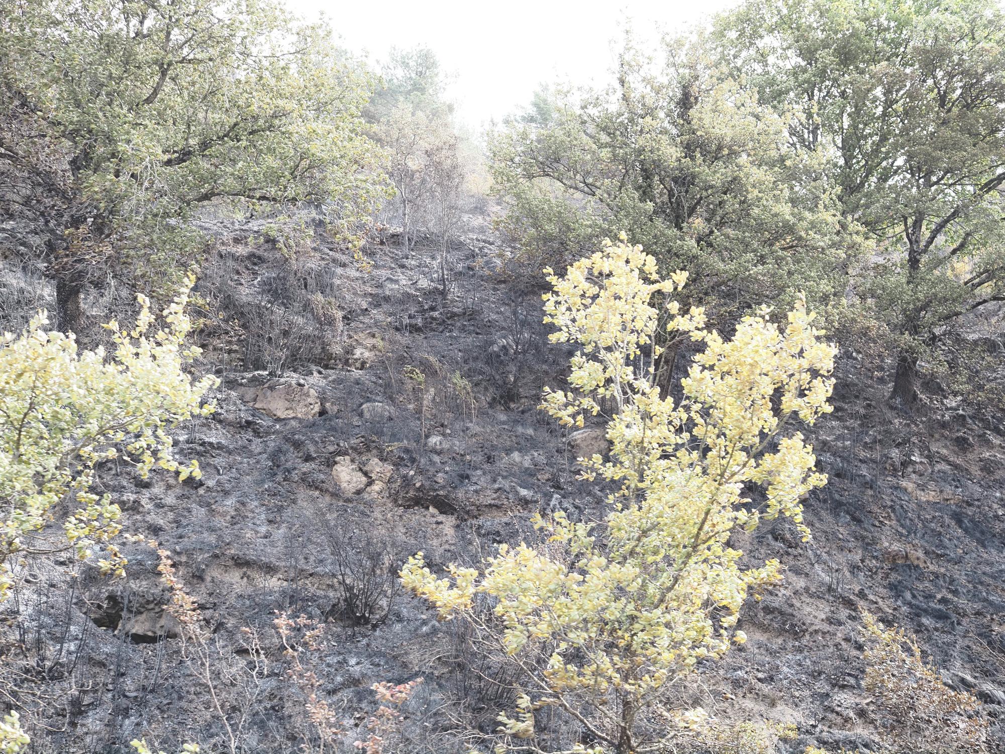 Fotos de las labores de extinción del incendio en Urraúl Alto, Urrulgaine