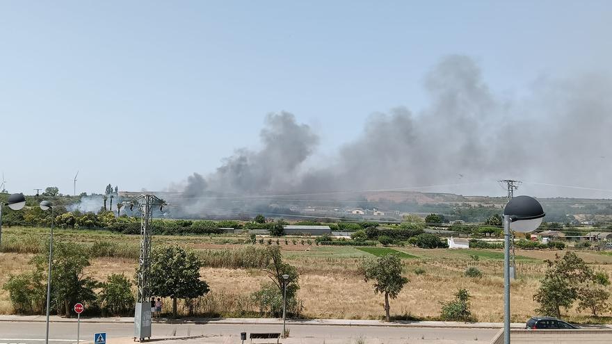 Declarado un incendio de vegetación en una zona de huertas de Castejón