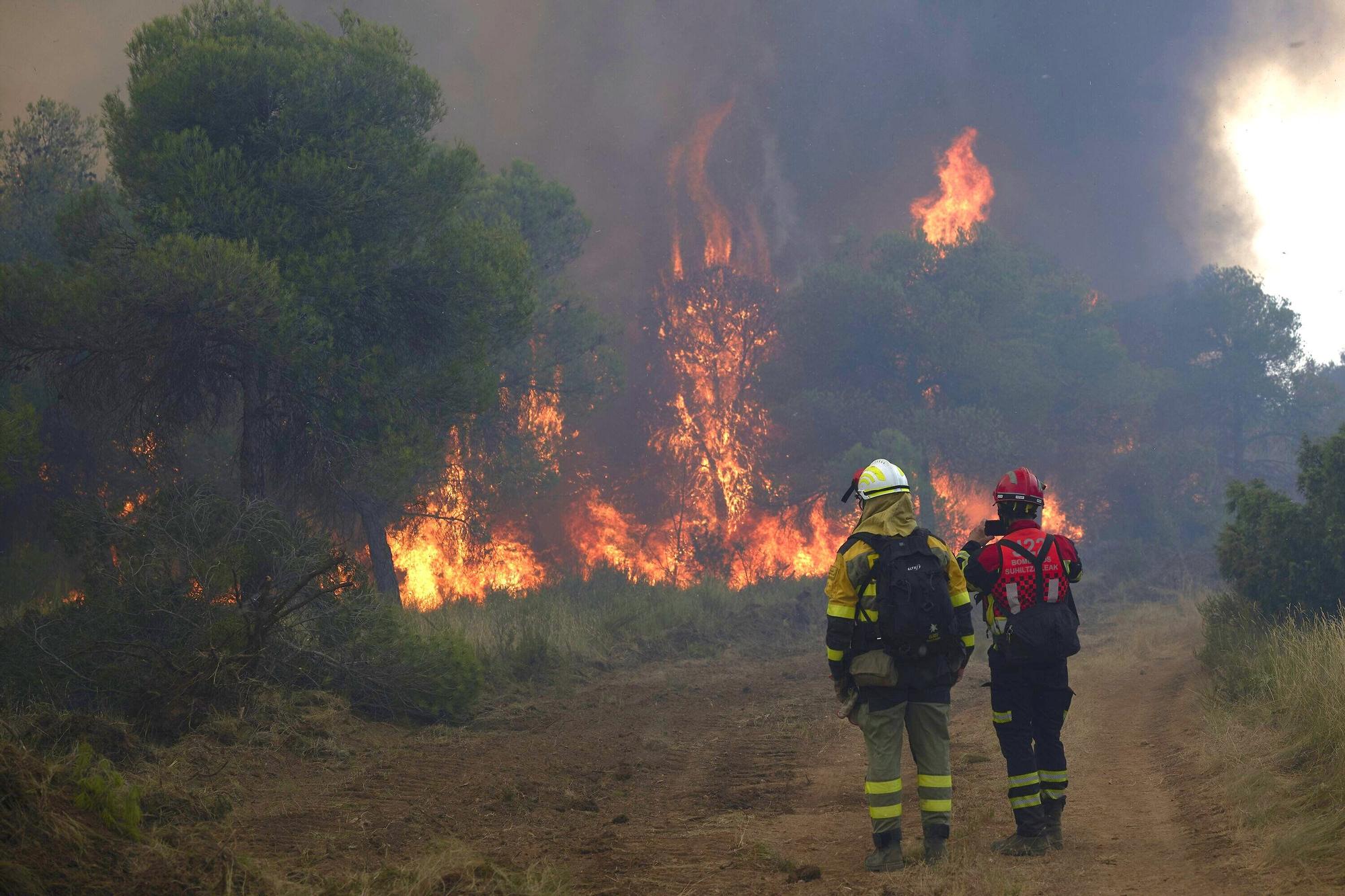 Fotos del incendio forestal cerca de Carcastillo