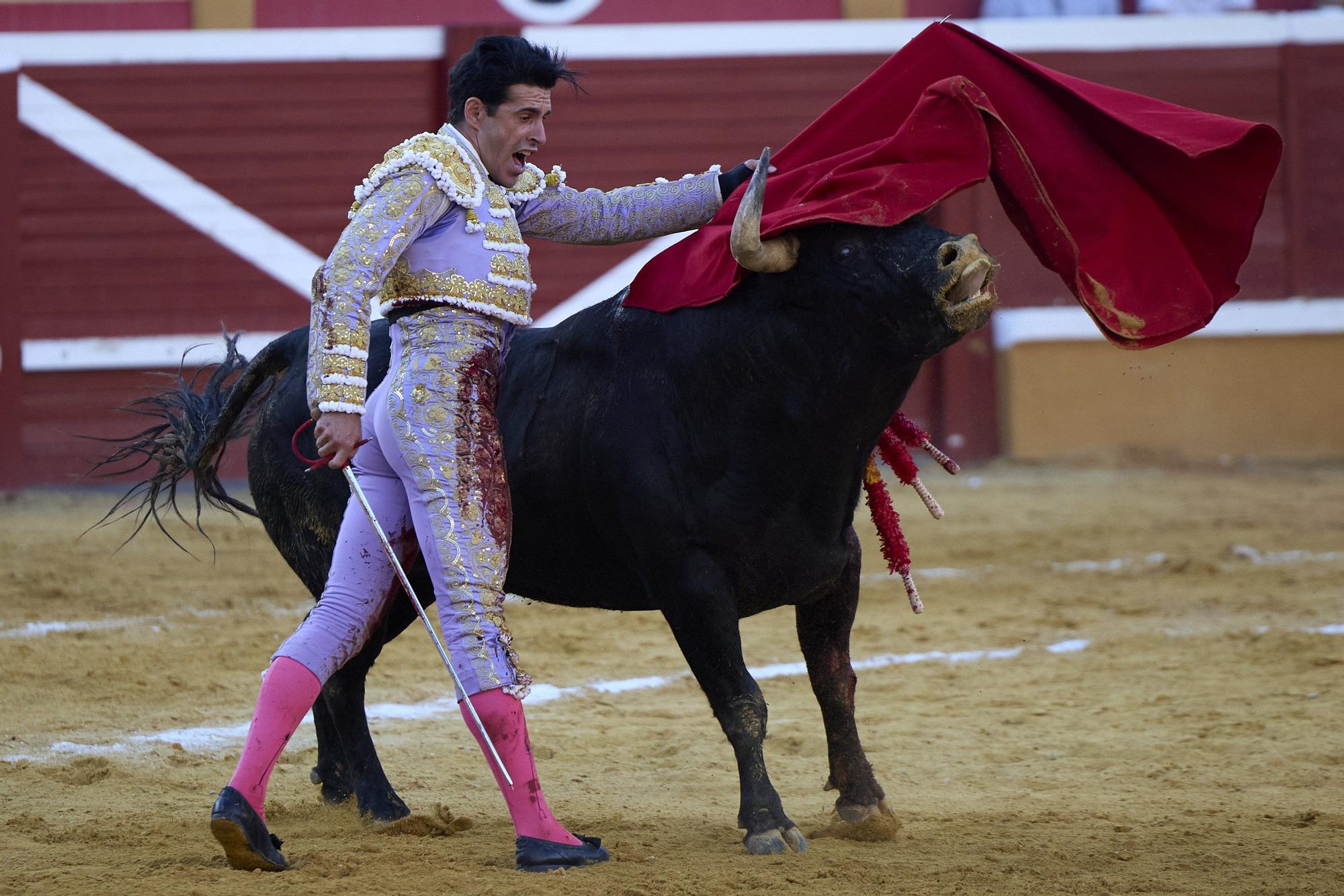 Fotos de la corrida de toros en Tudela con toros de Garzón Valdenebro