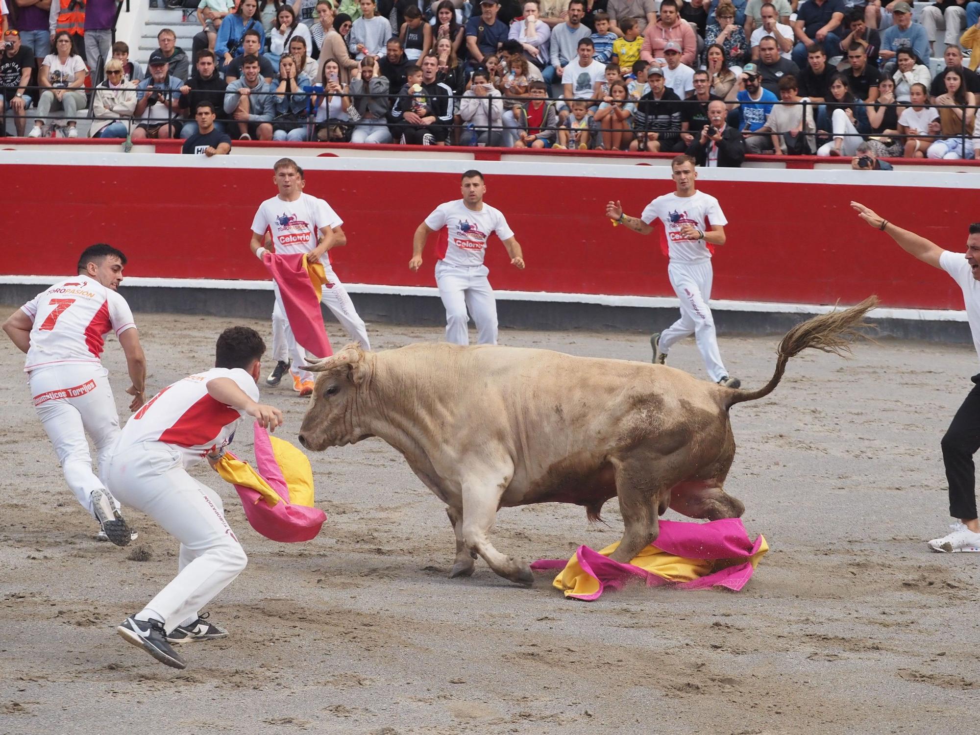 El extremeño Israel Pérez 'Ruso' se estrena con victoria en el Campeonato de Recortadores de Azpeitia