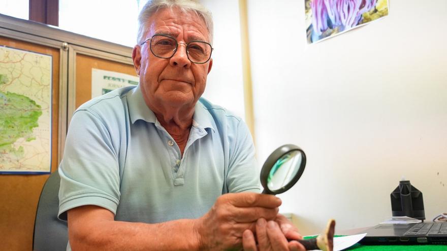 “Me he tirado hasta 12 horas en el monte viendo el crecimiento de una seta”