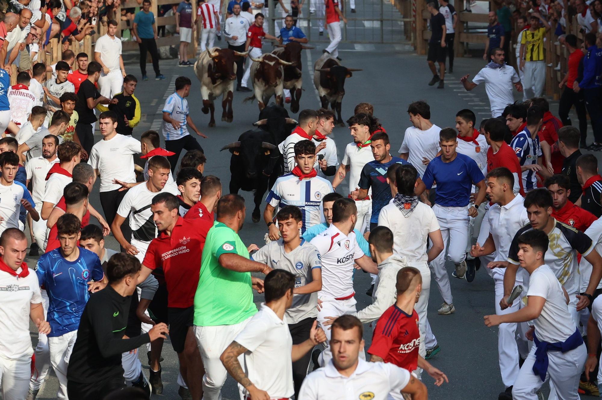 Fotos del cuarto encierro de fiestas de Tafalla 2025