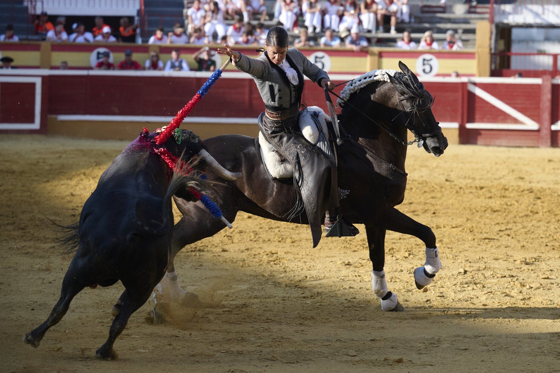 Fotos de la corrida de rejones de este domingo en fiestas de Tudela