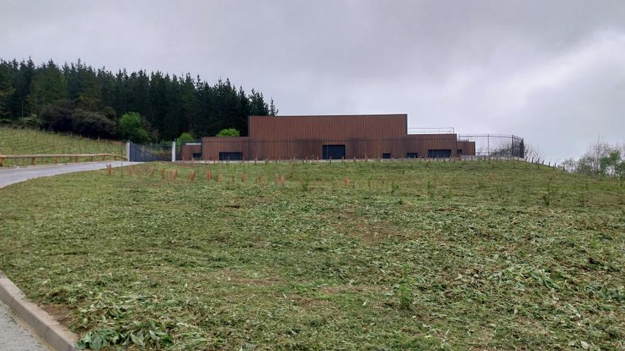 Bizkaia pone proa a 2050