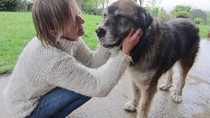 &#039;Goliath&#039; se recuperó de sus lesiones y fue adoptado por una familia que cuida de él.