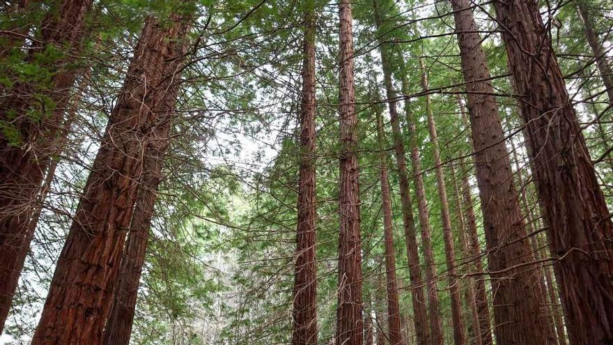 La ruta de senderismo "más bonita del Estado" está a hora y media de Bizkaia, según la Revista Viajar