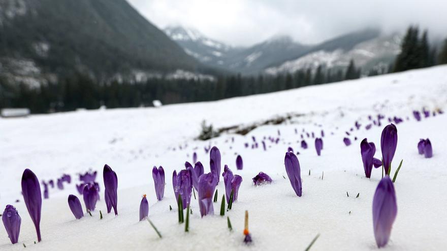 Desmentir las noticias falsas "quita mucho tiempo" y "desvía la atención del público"