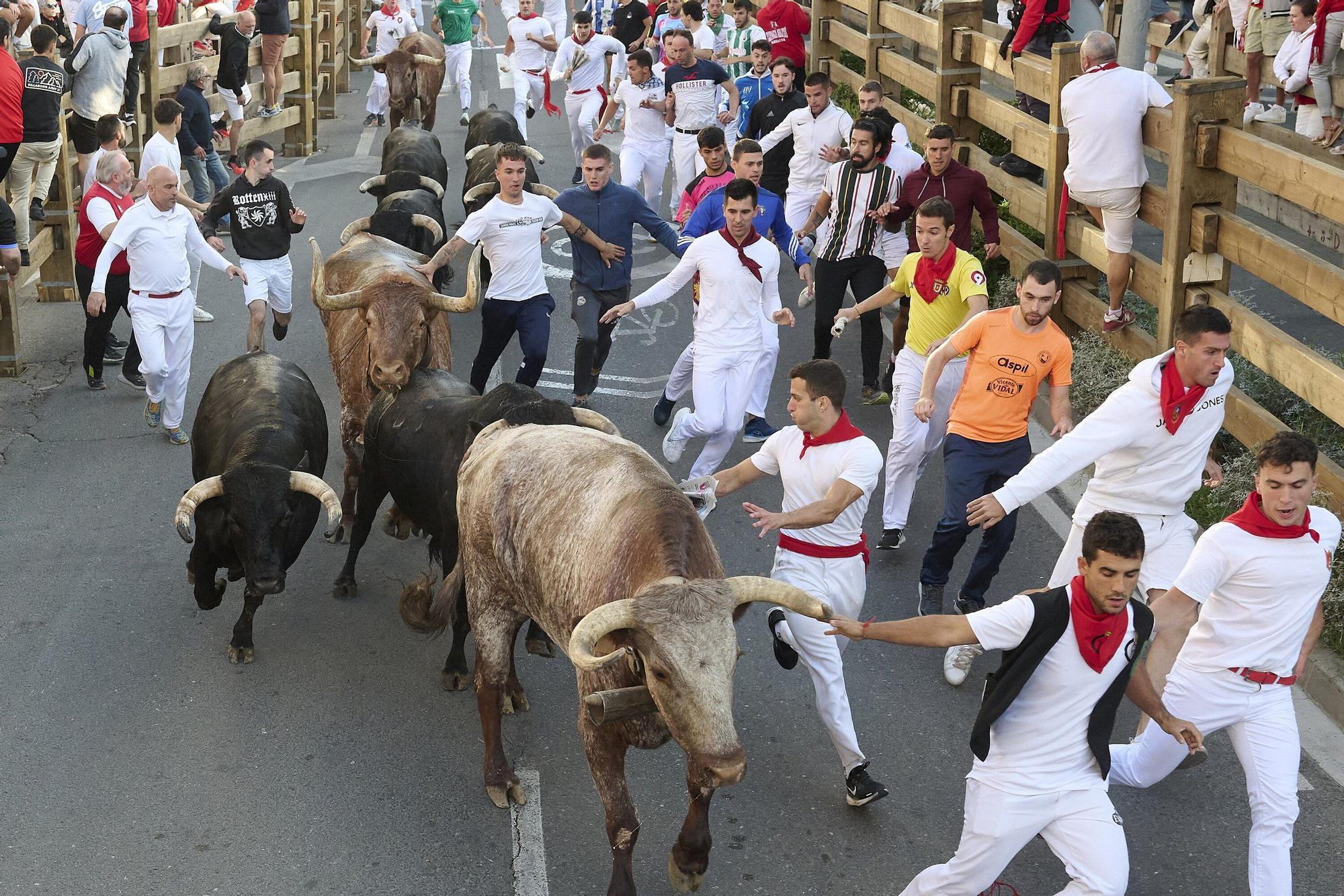 Fotos del tercer encierro de las fiestas de Tudela 2025