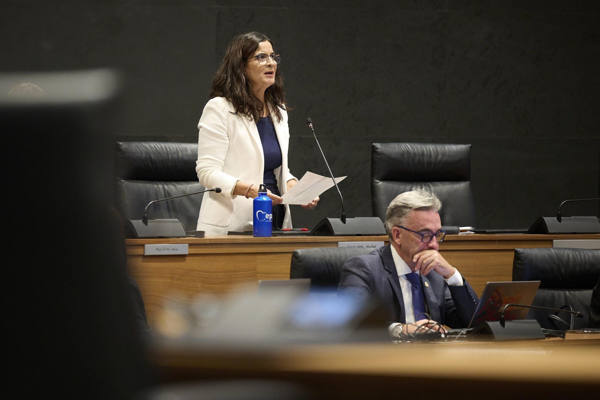 Fotos del pleno del Parlamento de Navarra (jueves 25 de septiembre de 2025)